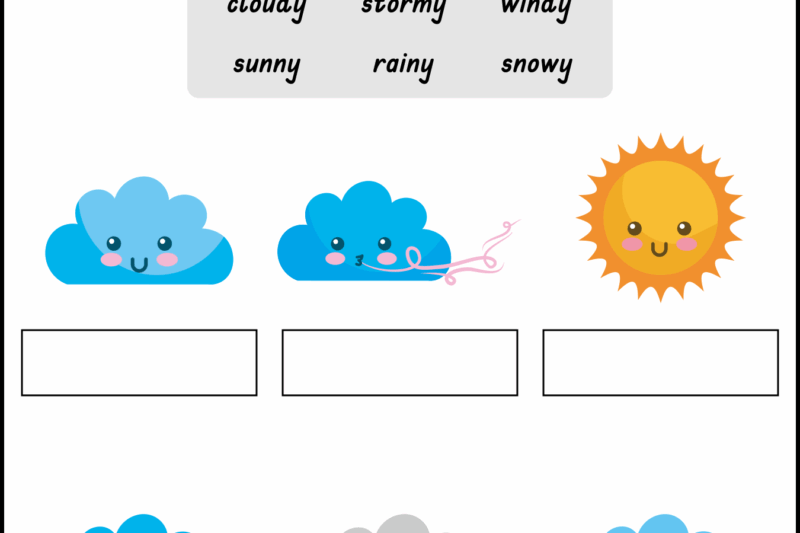Free First Grade Printable Science Worksheets