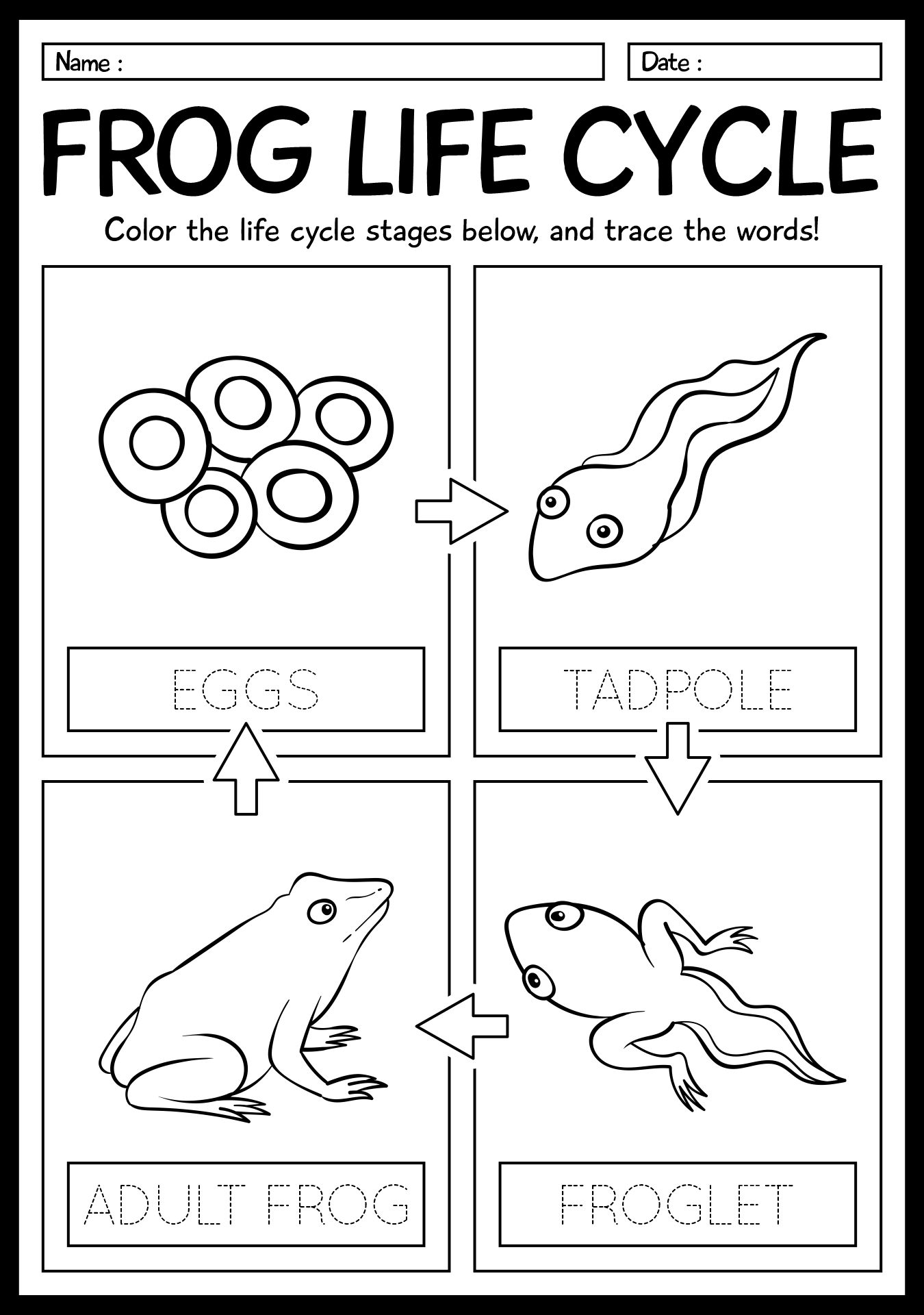 13 1st Grade Life Science Worksheets Free PDF At Worksheeto