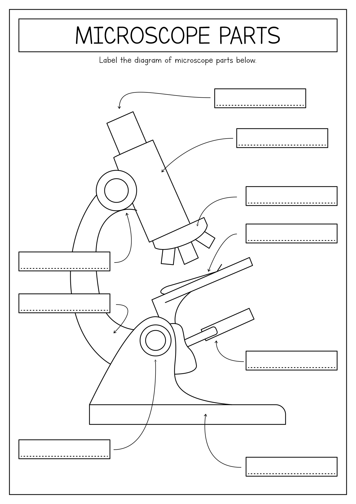 Free Printable Microscope Observation Worksheet