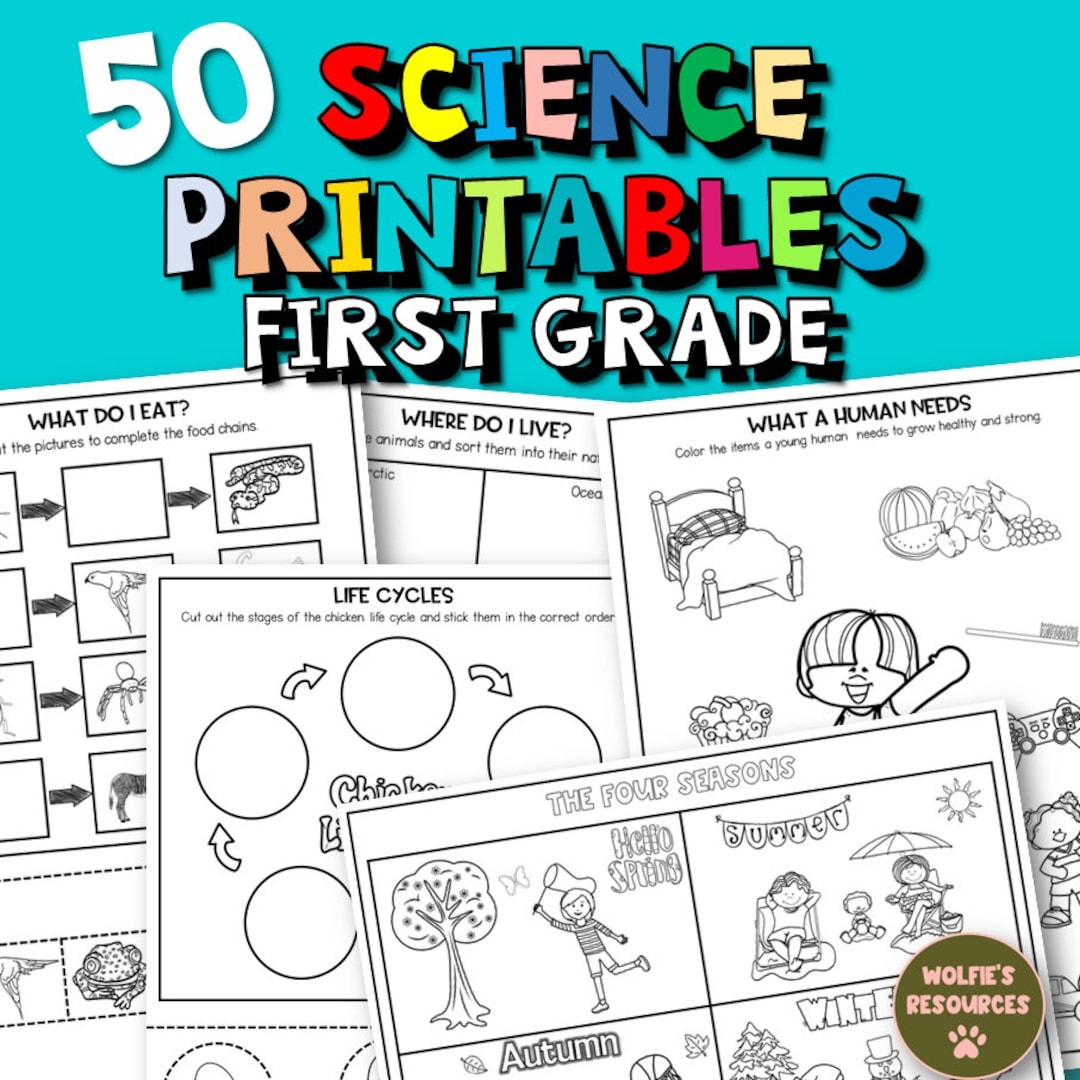 50 Science Printable Worksheets For First Grade And Homeschool Etsy