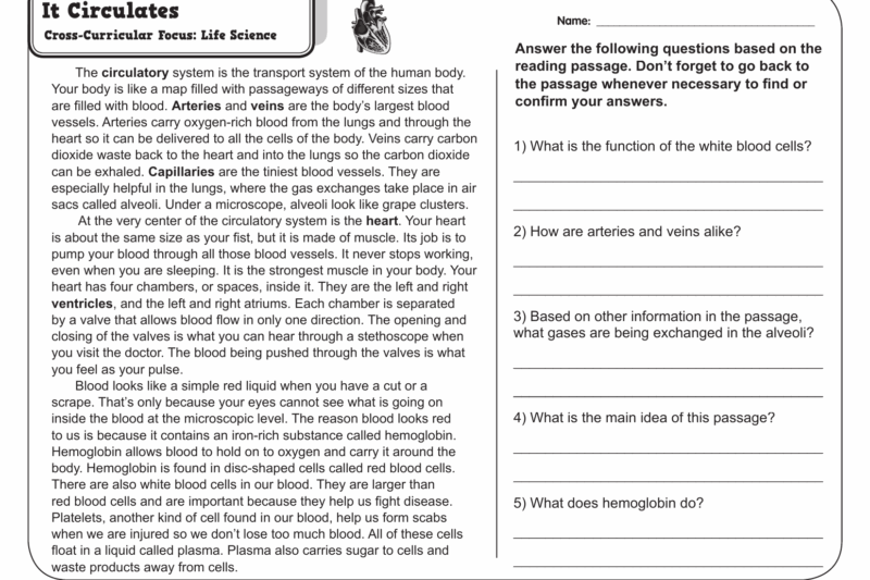 5th Grade E-Reading Comprehension Worksheets