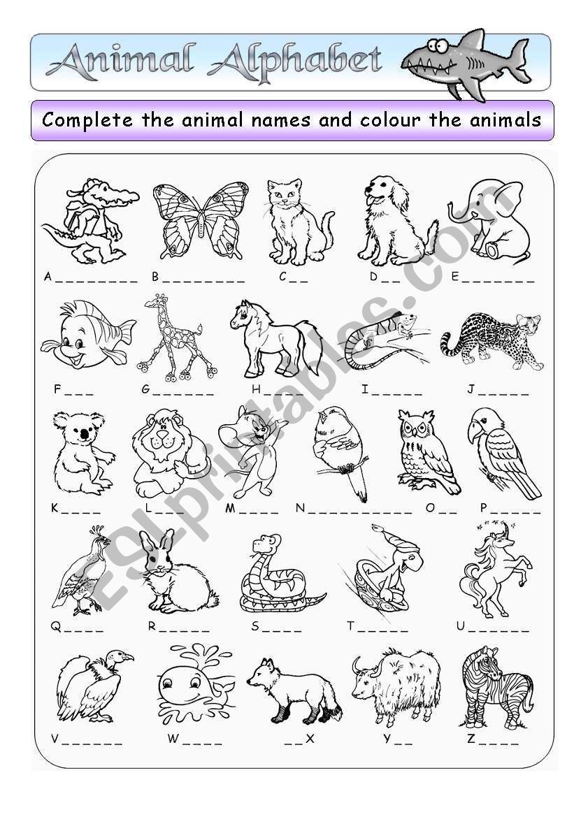 Animal Alphabet BW Key ESL Worksheet By Funki Animal Alphabet BW Key ESL Worksheet By Funki