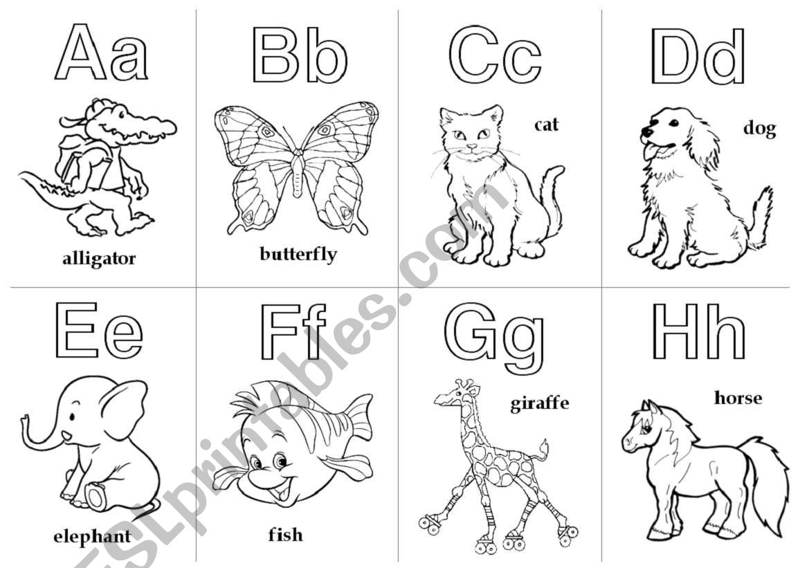 Animal Alphabet Cards A H ESL Worksheet By Funki