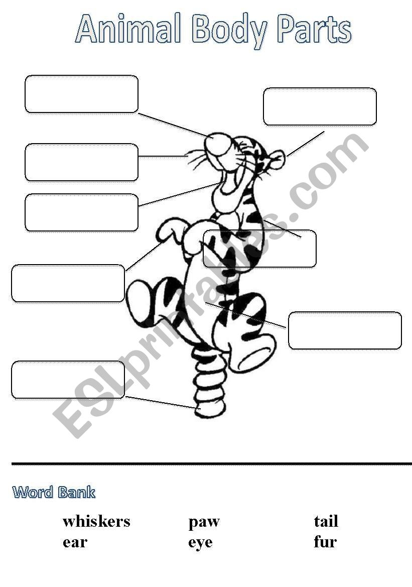 Animal Body Parts Labels ESL Worksheet By Maikeru2008