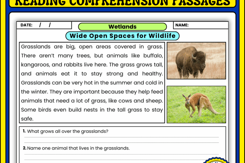 Animal Habitats Reading Comprehension Worksheet