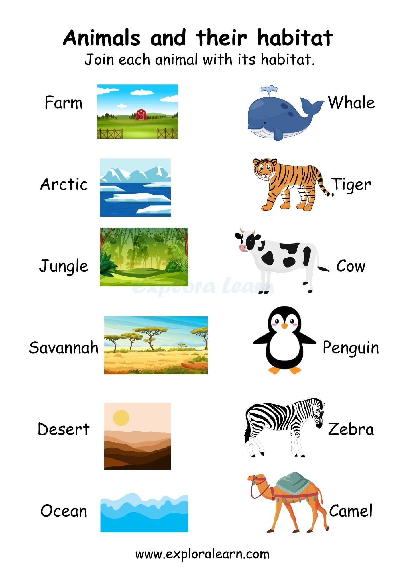 Animal Homes Babies And Food Worksheets