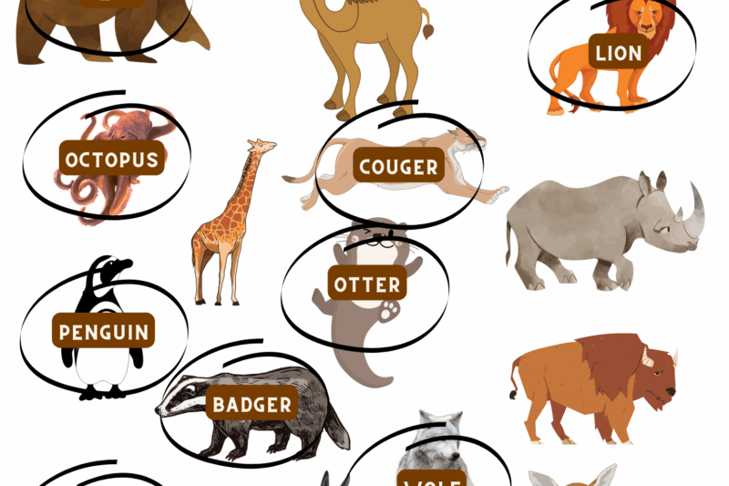 Free Printable Mammal Worksheets