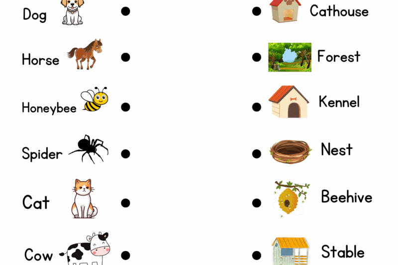 Free Animal Homes Worksheets For Kindergarten