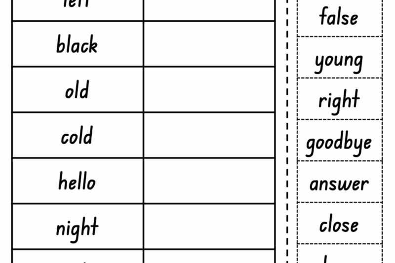 Antonym Free Worksheets Printable