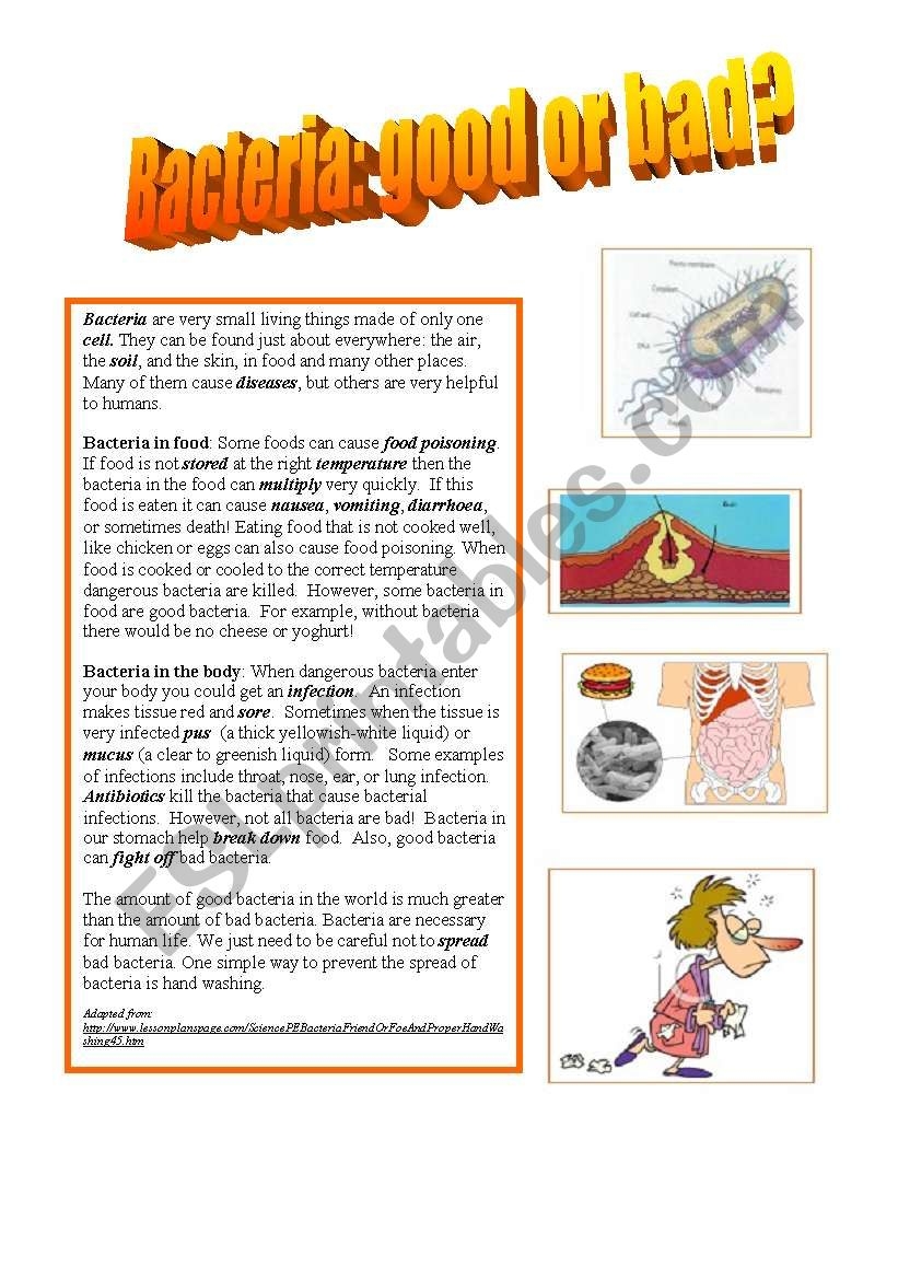 Bacteria Good Or Bad Reading Comprehension ESL Worksheet By Inge