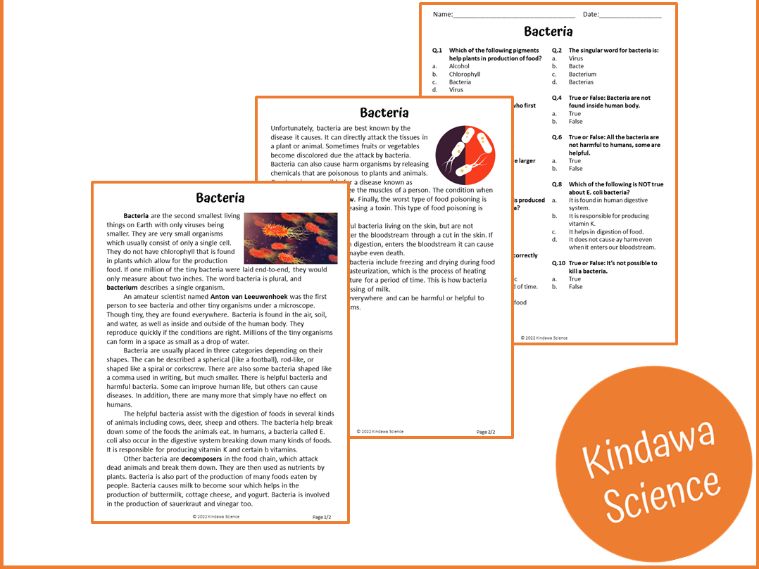 Bacteria Reading Comprehension Passage And Questions PDF Teaching Resources