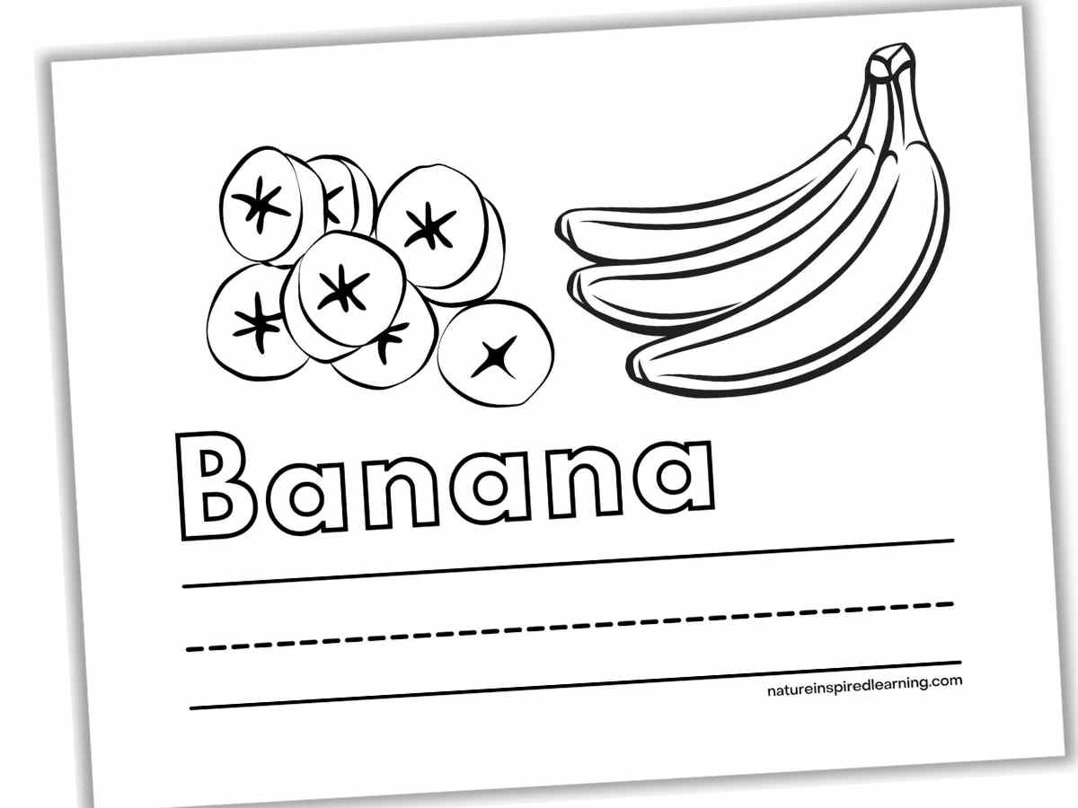 Banana Coloring Pages Nature Inspired Learning