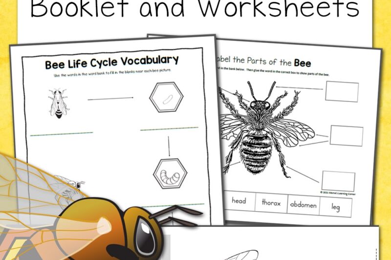Free Printable Bee Worksheets