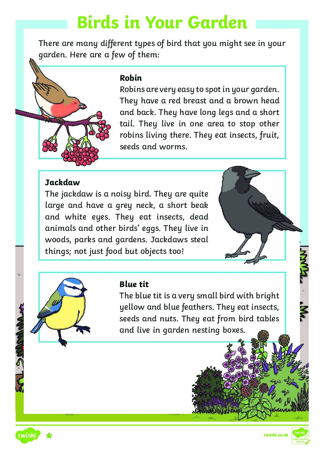 Birds In Your Garden Differentiated Reading Comprehension Activity St Cyprian s Greek Orthodox Primary Academy