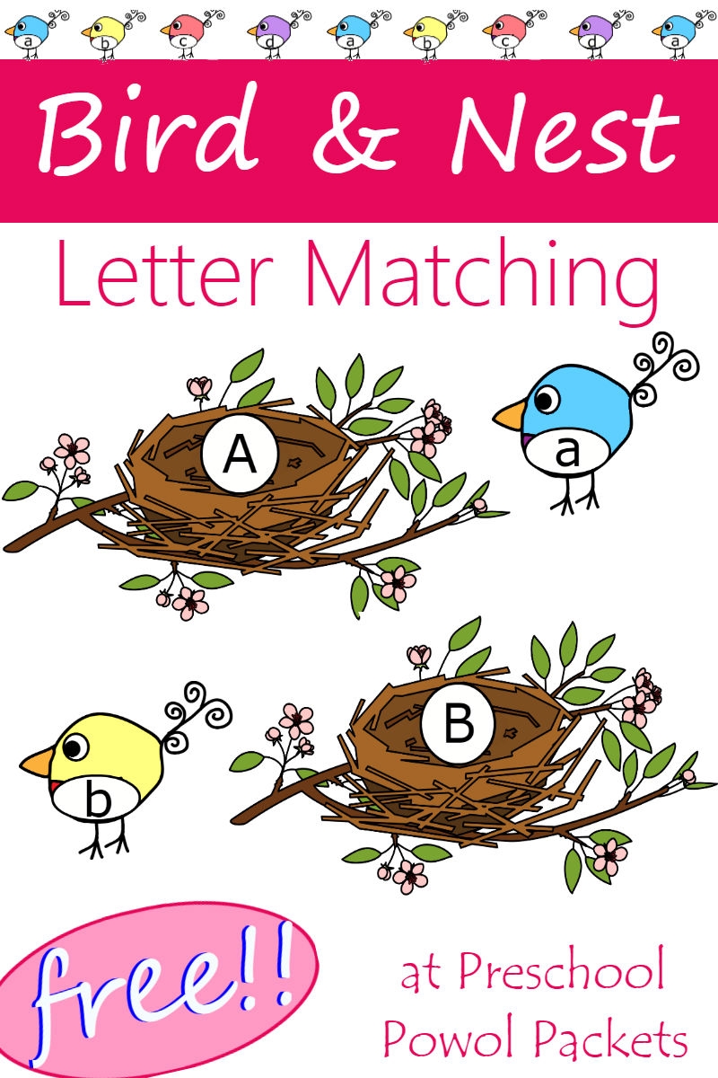 Free Printables For Preschool About Birds