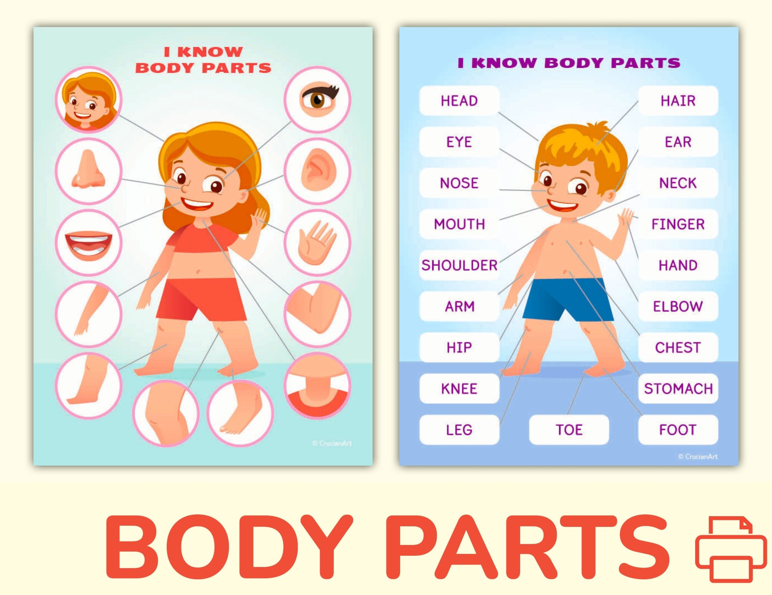 Free Printable Body Of Preschooler