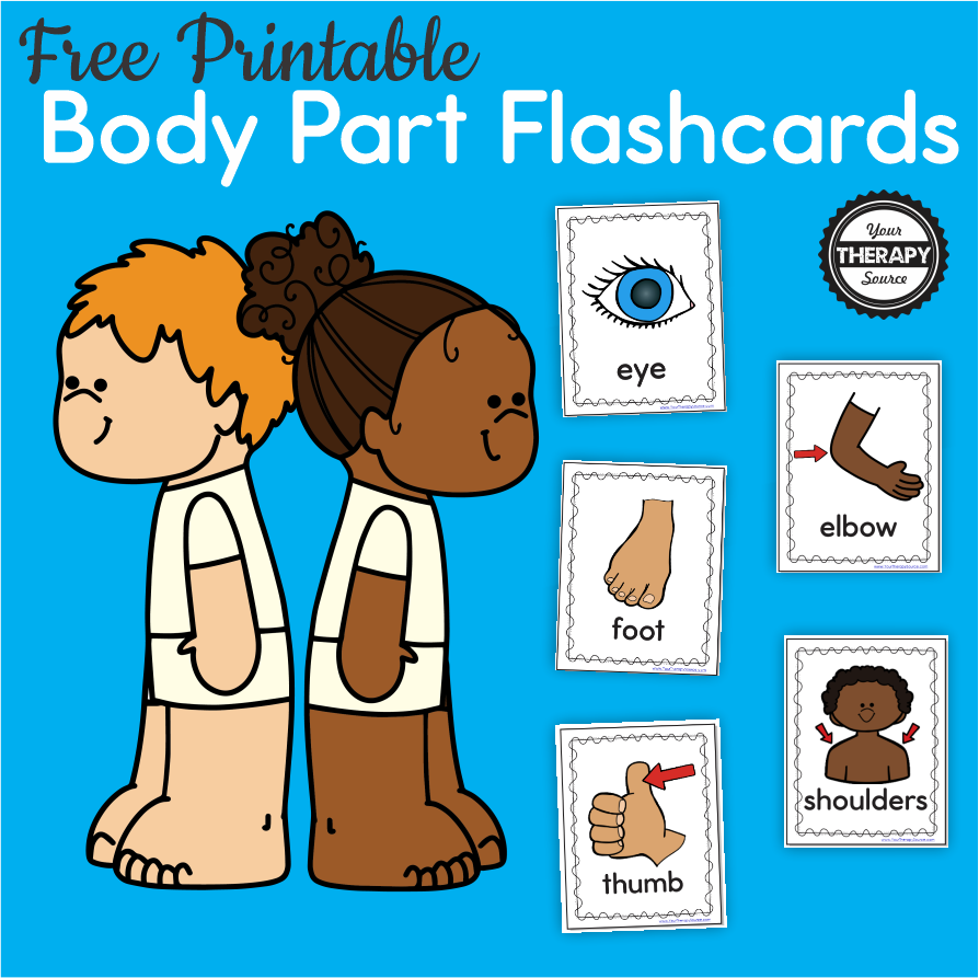 Body Part Flashcards Free Printables Your Therapy Source
