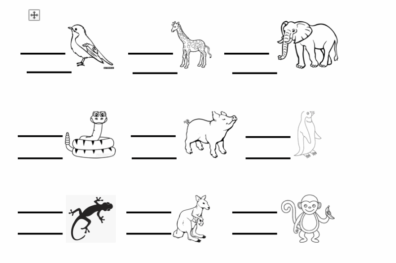 Animal Parts Worksheet Free Printable