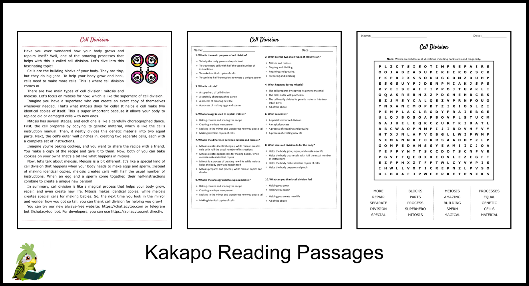 Cell Division Reading Comprehension And Word Search Teaching Resources