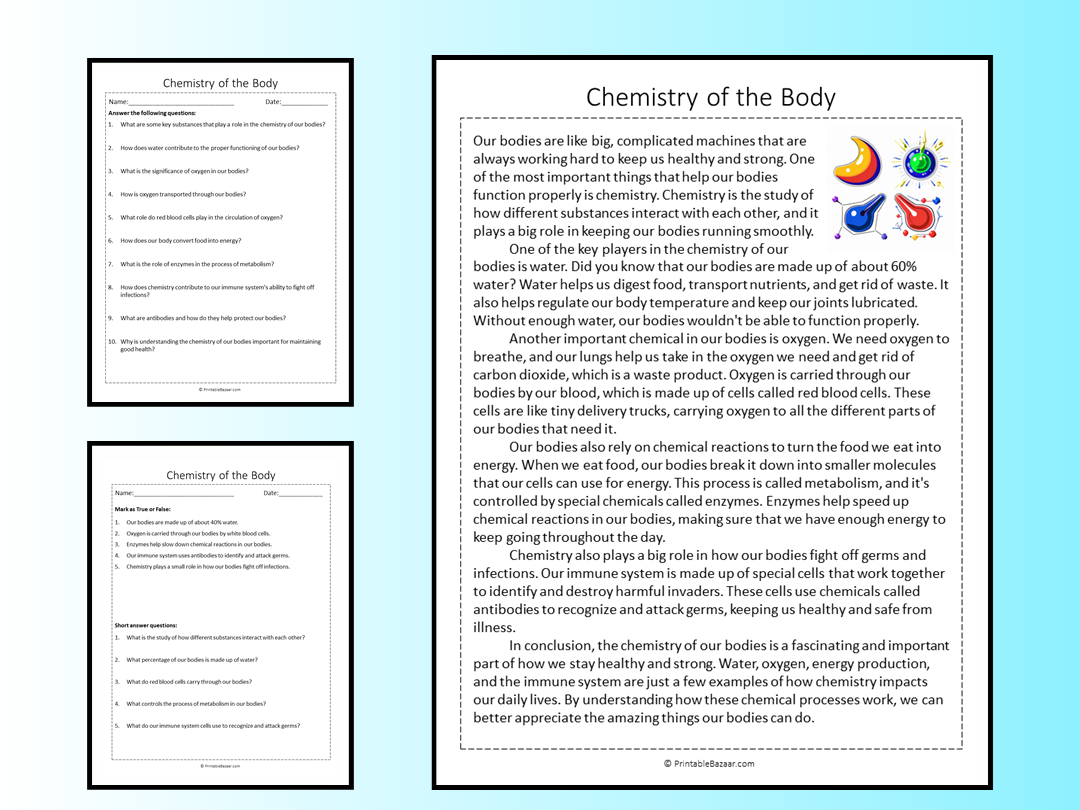 Chemistry Of The Body Reading Comprehension Passage Printable 