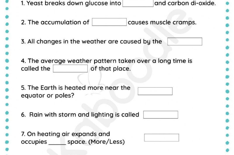 7th Grade Science Free Printable Worksheets
