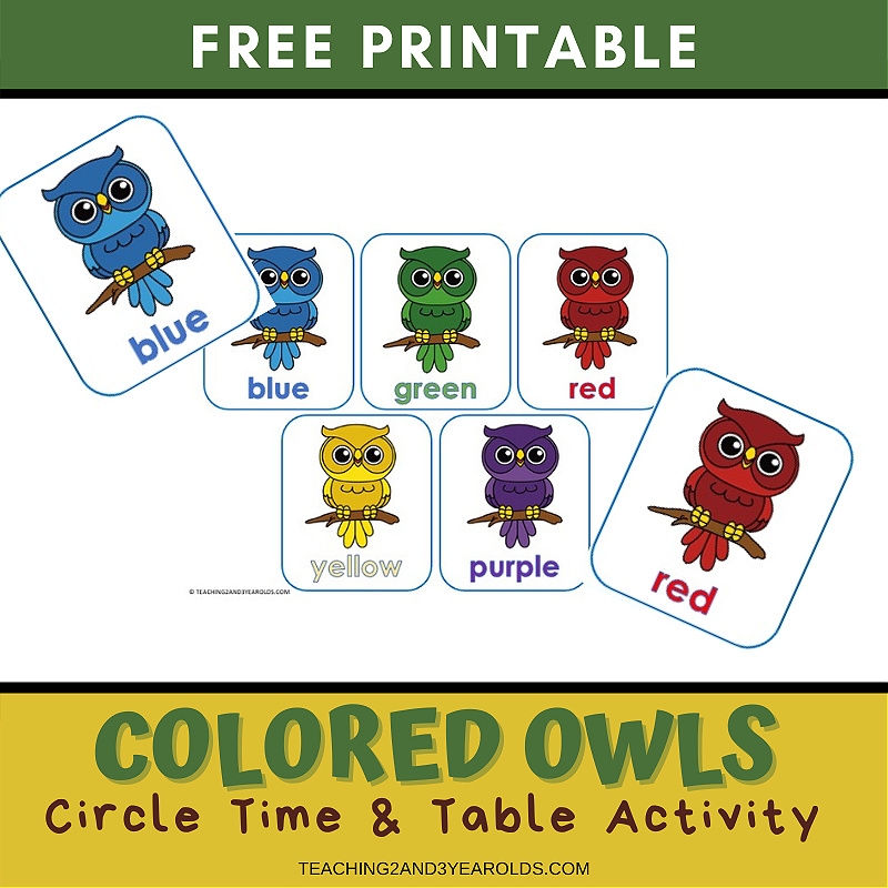 Color Recognition Owl Printable Activity