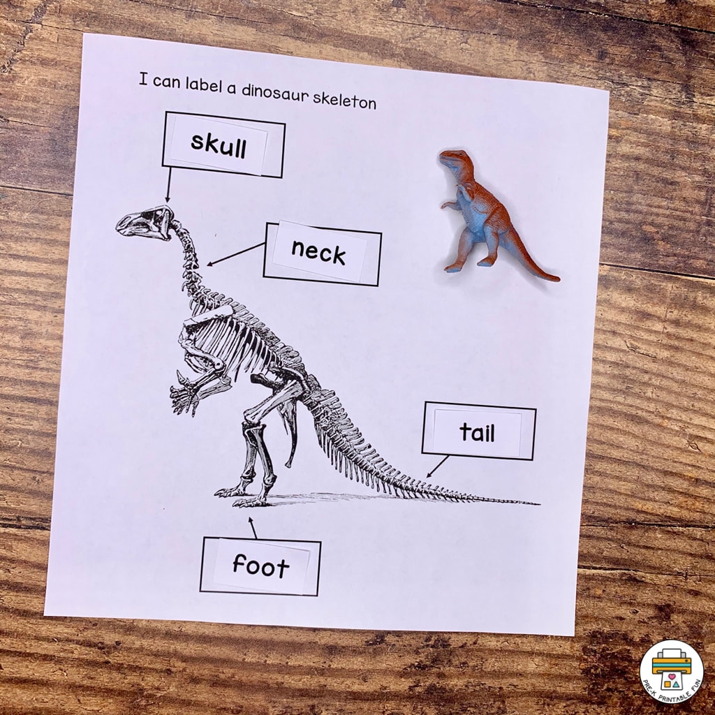 Dinosaur Preschool Activities Pre K Printable Fun