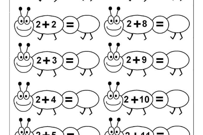 Basic Math For Kindergarten Worksheet