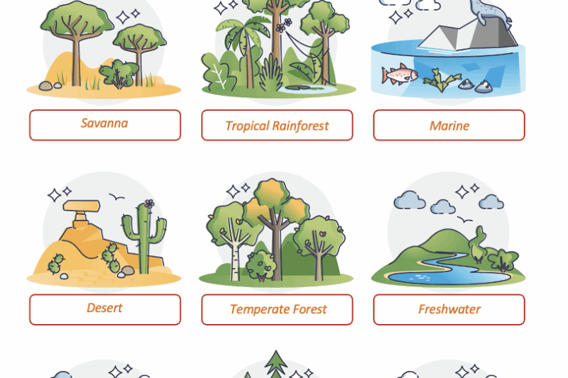 Free Printable Ecosystem Worksheets