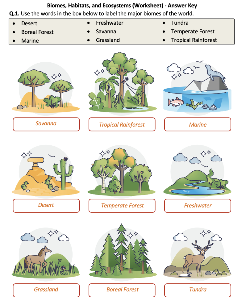 Ecosystems Worksheets Engaging Activities For Environmental Education