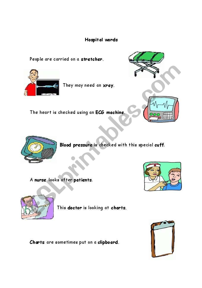 Hospital Words Worksheet For Kindergarten