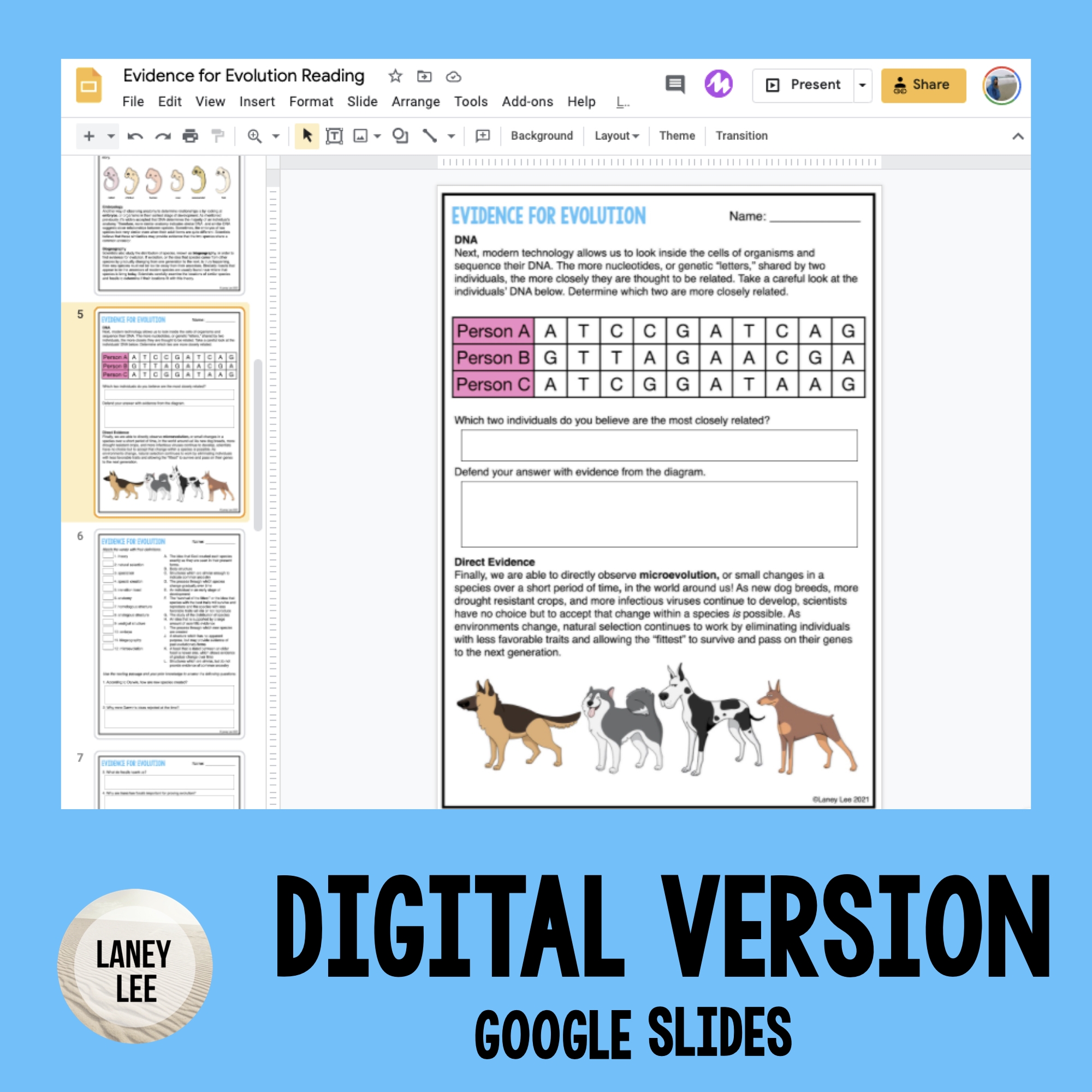 Evidence For Evolution Reading Comprehension Worksheets Evidence For Evolution Reading Comprehension Worksheets