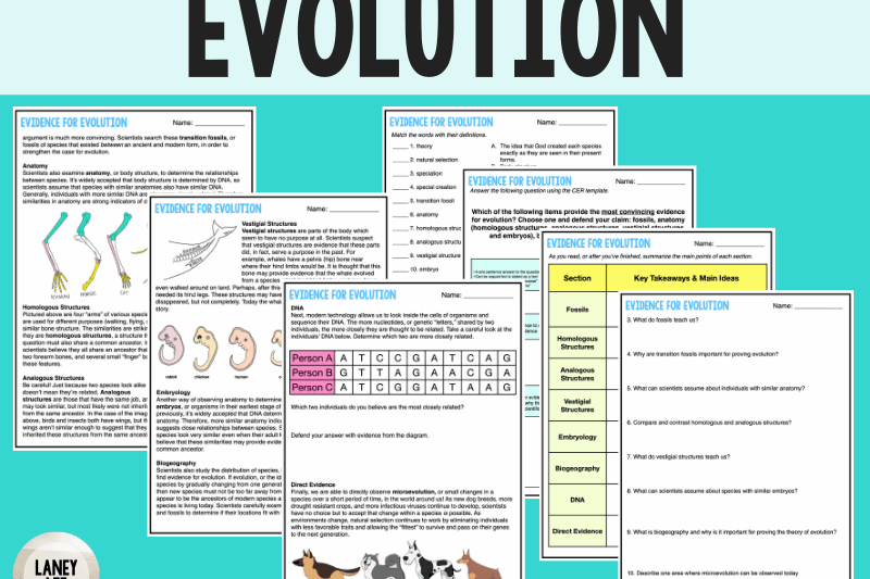 Evolution Reading Comprehension Worksheet