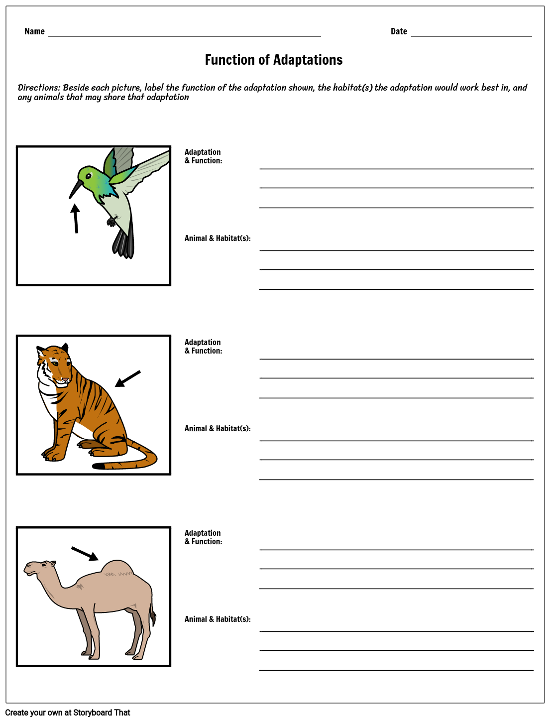 Explore Animal Adaptations Worksheets For Engaging Science Learning Explore Animal Adaptations Worksheets For Engaging Science Learning
