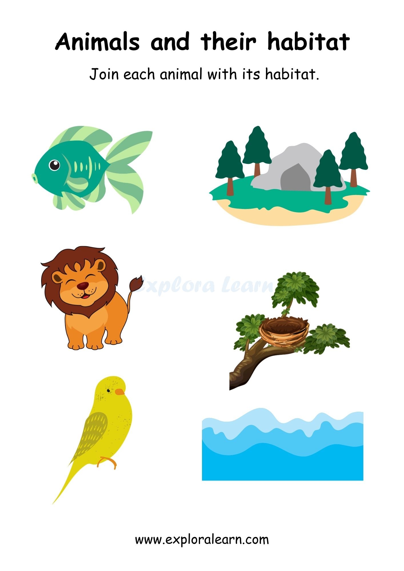 Free Animal Homes Worksheets For Kindergarten