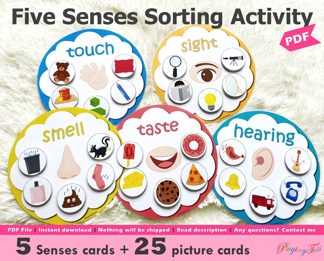 Five Senses Sorting Activity Printable 5 Senses Sorting 