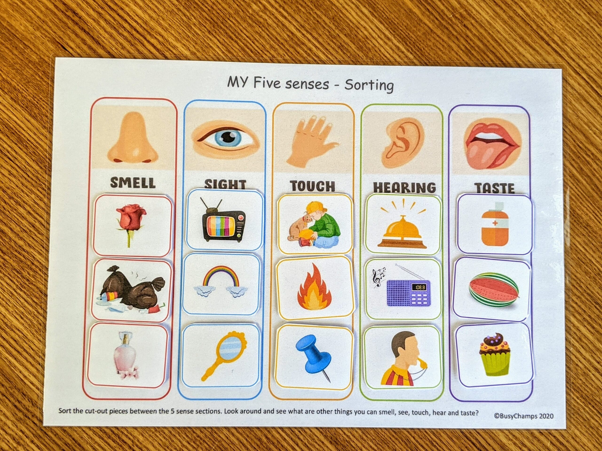 Five Senses Worksheet Busy Book Printable Preschool Learning 