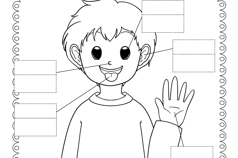 Free Printable Worksheets Kindergarten Five Senses