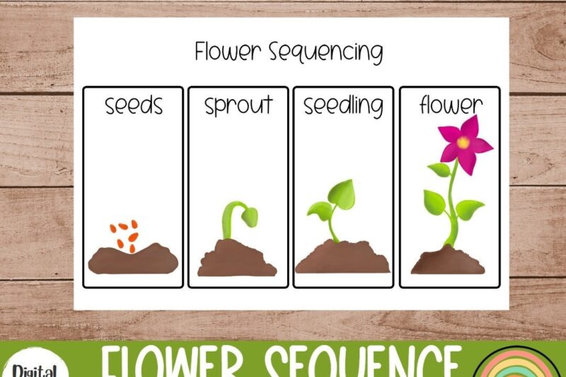 Printable Sequencing Cards For Preschool
