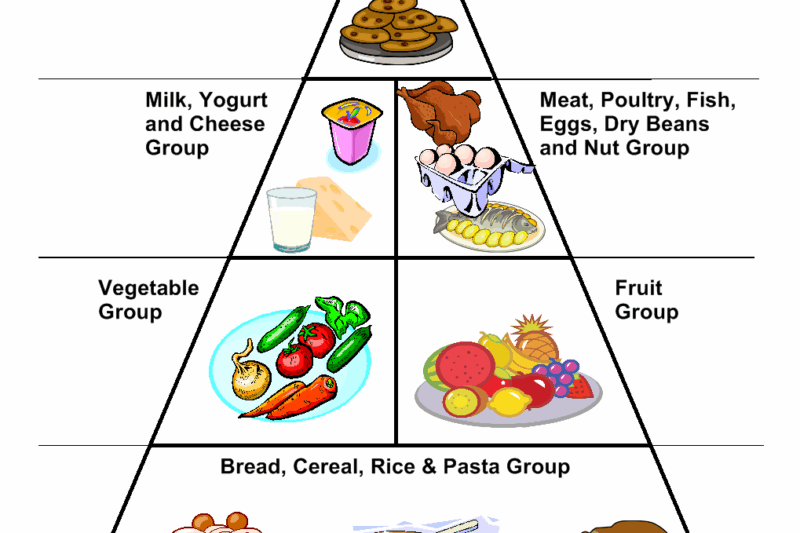 Food Group Pryramid Preschool Printables