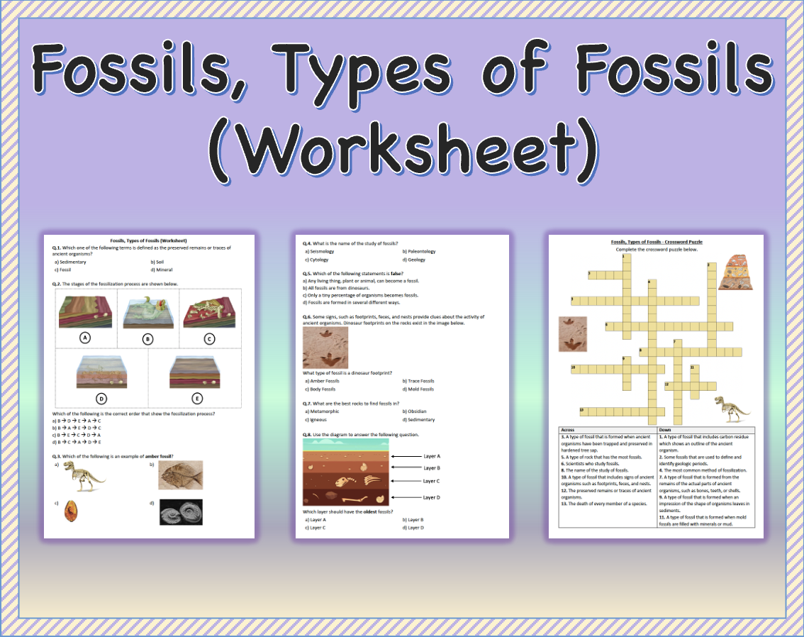 Fossils Types Of Fossils Worksheet Printable And Distance Fossils Types Of Fossils Worksheet Printable And Distance