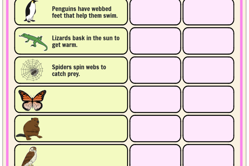 Free Printable Animal Adaptations Worksheets