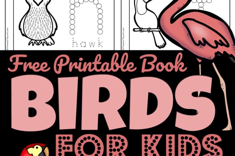 Free Printables For Preschool About Birds