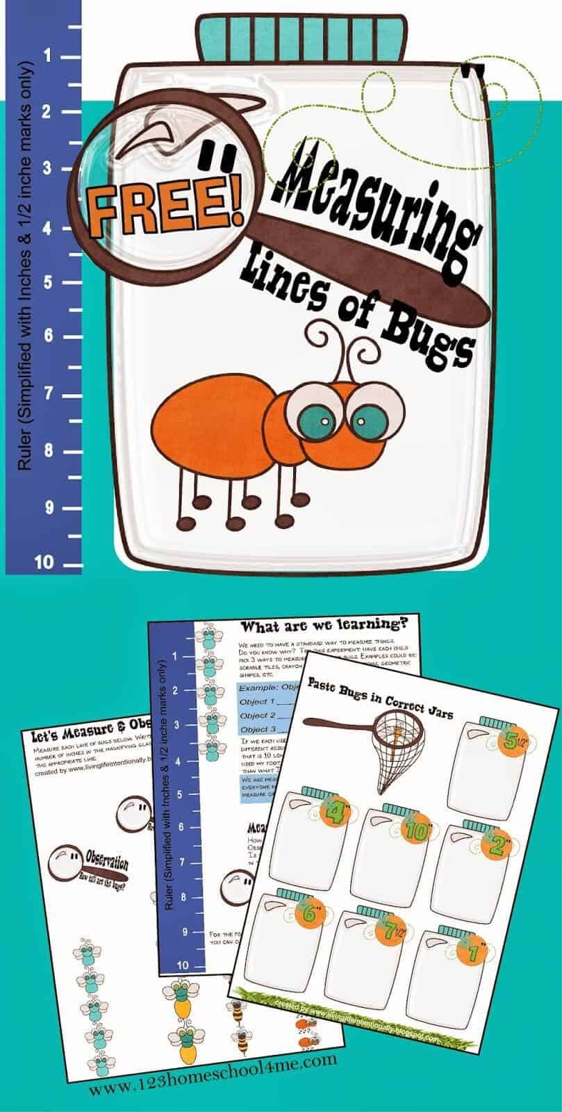 FREE Bugs Worksheets Measurement Activities For Preschool