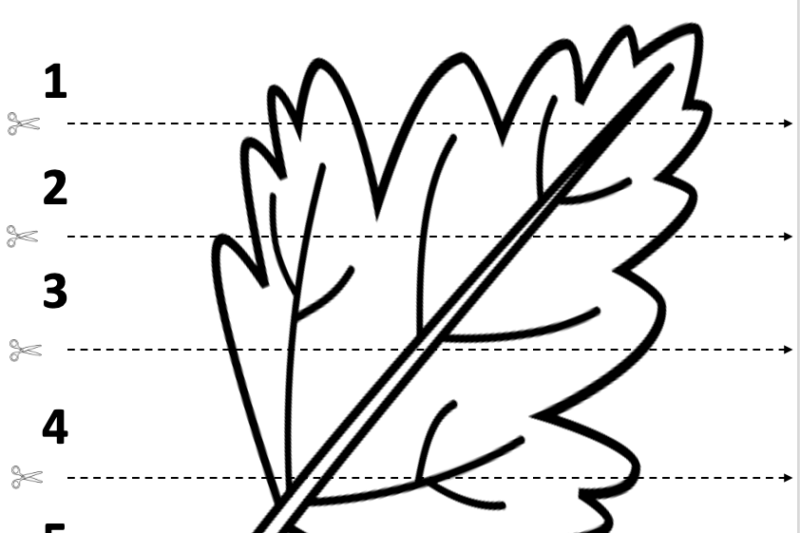 Free Printable Pre K Fall Worksheets