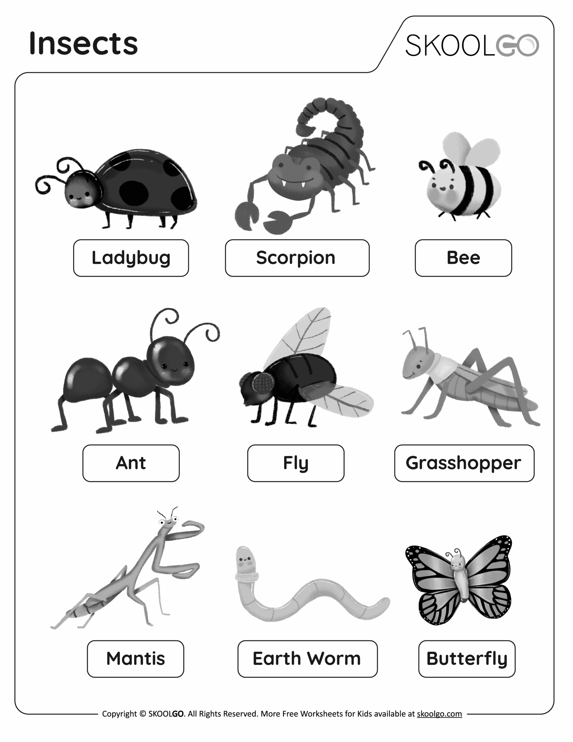 Free Insect Worksheets And Printable Activities Worksheets Library