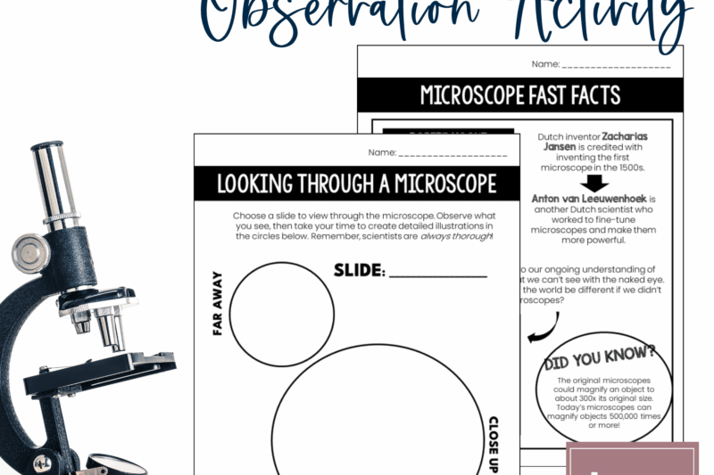 Free Printable Microscope Observation Worksheet