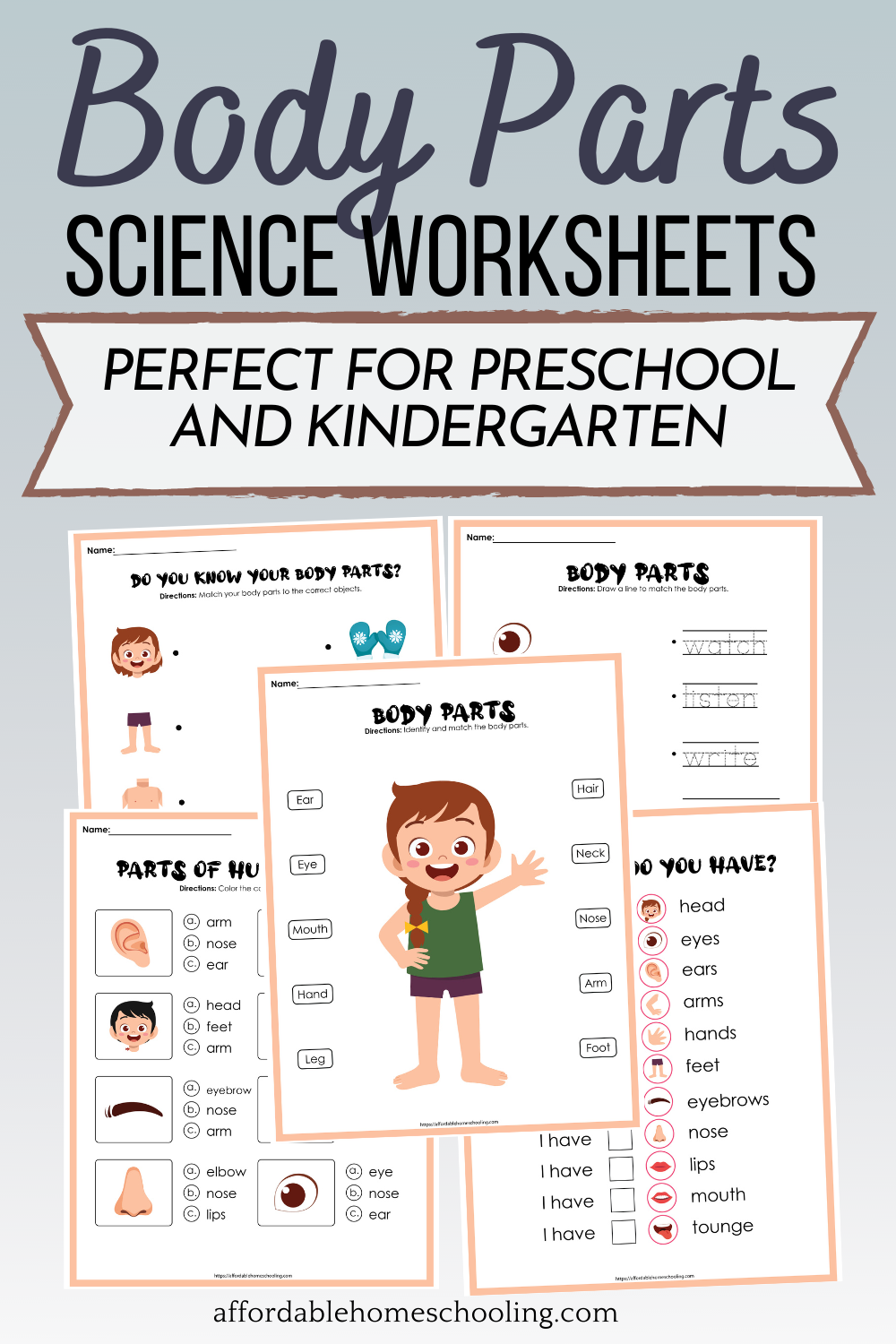 Free Preschool Human Body Printables