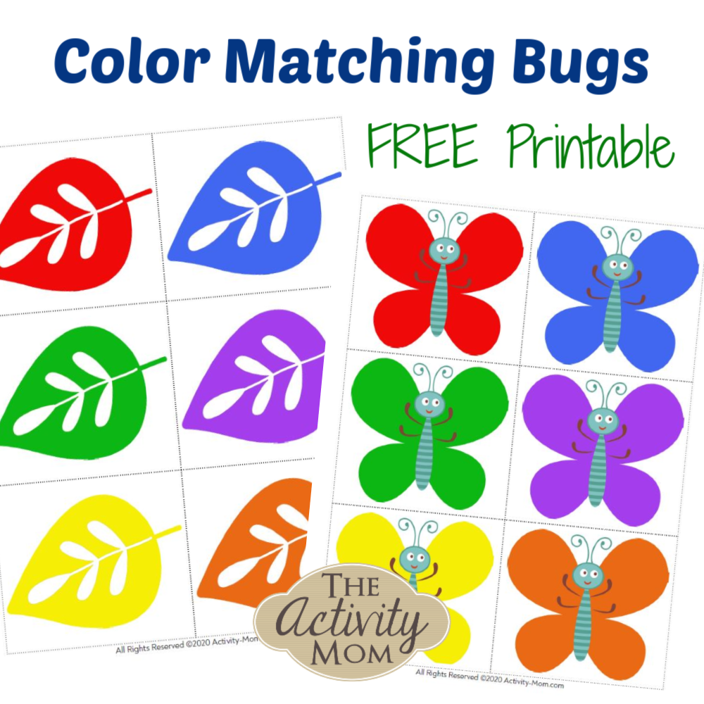 Free Preschool Insect Theme Printables