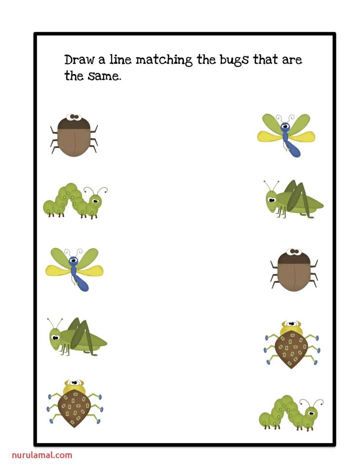 Free Preschool Insect Theme Printables And Activities The 